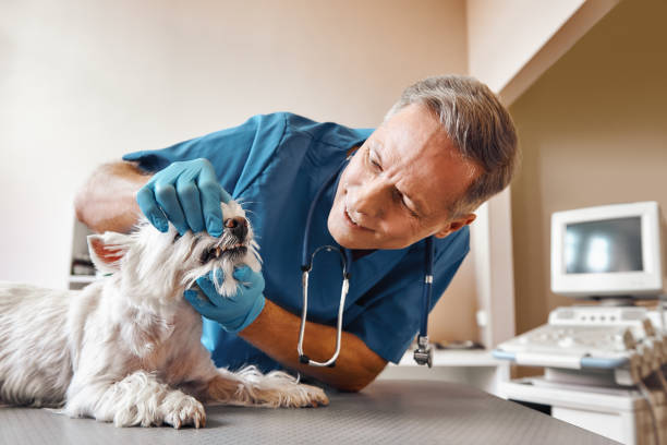 Best After-Hours Emergency Dentist in Fulton, TX