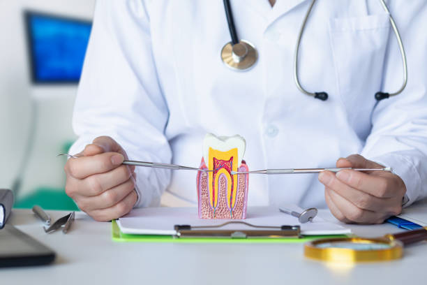Best Same-Day Emergency Dentist in Fulton, TX